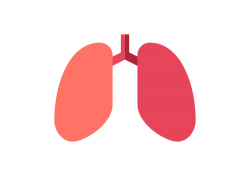 Pulmonary
